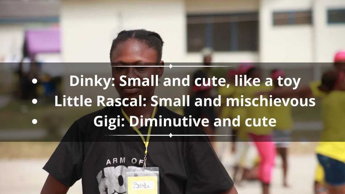Reddit Nicknames for short people Reddit Nicknames for short people