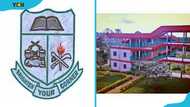 Adonten Senior High School courses and the application guide