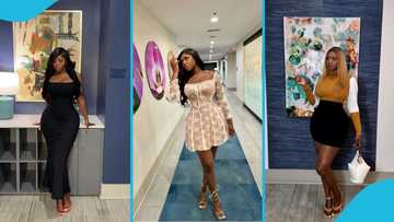 Princess Shyngle picks dollars from the floor at a night club, counts money at home in video