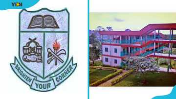 Adonten Senior High School courses and the application guide